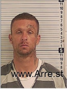 Aaron Quinn Lowe Mugshot