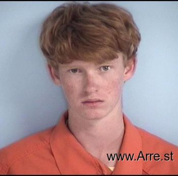 Aaron Mitchell Skier Mugshot