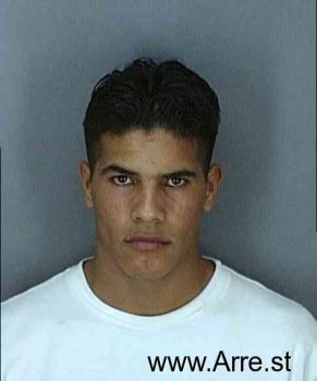 Adrian  Gonzalez Mugshot