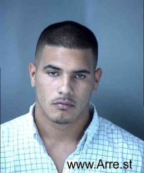 Adrian  Gonzalez Mugshot