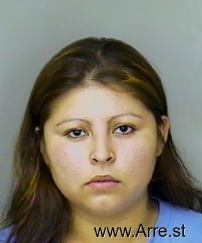 Adriana H Quintana Mugshot