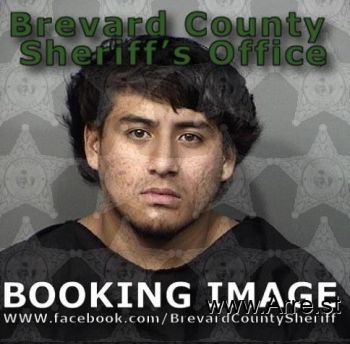 Alan  Castro Mugshot