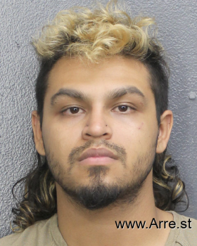 Alejandro  Fernandez Mugshot