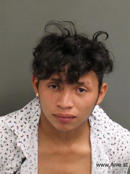 Alexander Wilmer Hernandez Mugshot