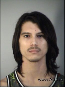 Alexander  Medina Figueroa Mugshot