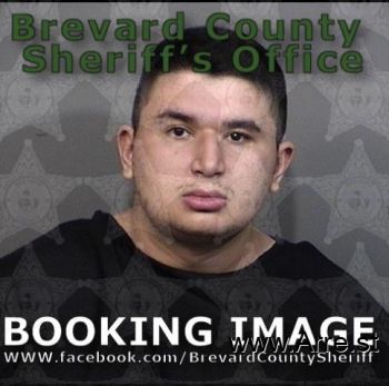 Alexander Bryan Telles Mugshot