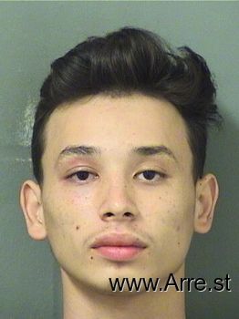 Alexander Javier Tellez Mugshot