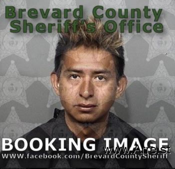 Alfredo  Hernandez Mugshot