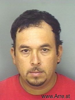 Alfredo  Zamora Mugshot