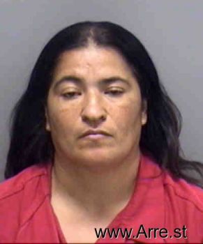 Alicia  Martinez-zavala Mugshot