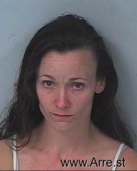 Allison Renee Miller Mugshot