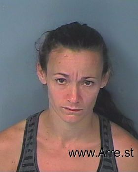 Allison Renee Miller Mugshot