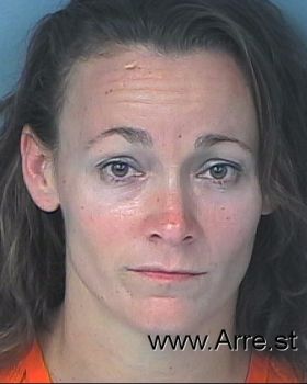 Allison Renee Miller Mugshot