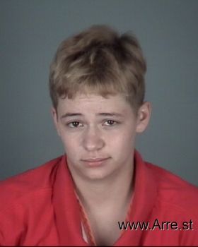 Allison Joan Smith Mugshot