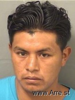 Alonzo  Ramirez Mugshot