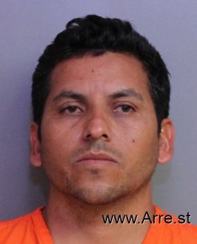 Alvaro  Gonzalez-guerrero Mugshot