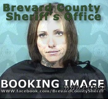 Alyssa M Price Mugshot