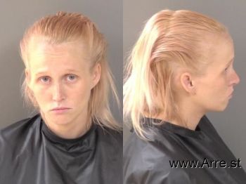 Amanda Lynn Adler Mugshot