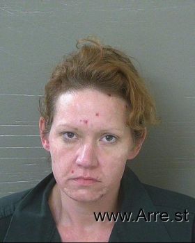 Amanda Michelle Anderson Mugshot