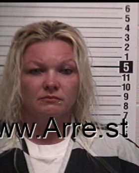 Amanda Marie Ayers Mugshot