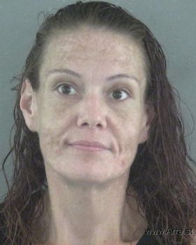 Amanda Carroll Burgess Mugshot