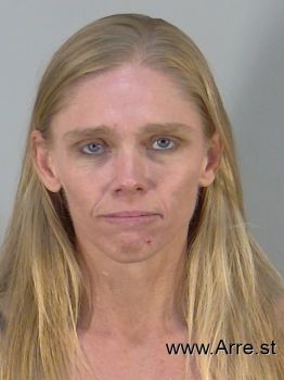 Amanda Elaine Fields Mugshot