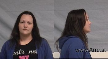 Amanda Sue Fields Mugshot