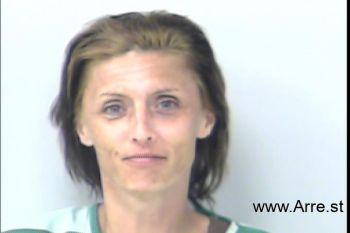 Amanda  Ford Mugshot