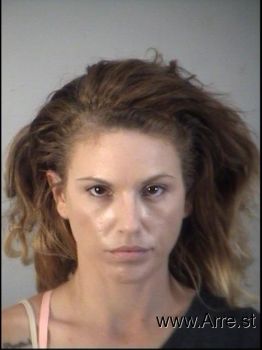 Amanda Lynn Fuller Mugshot