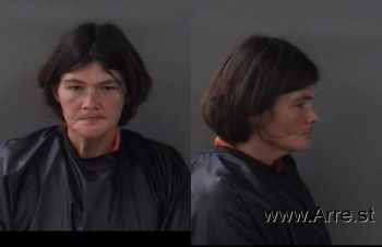 Amanda Christine Gibson Mugshot