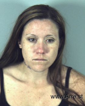 Amanda Lynn Holmes Mugshot