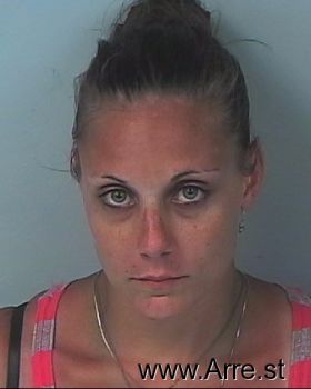 Amanda Lee Lawson Mugshot