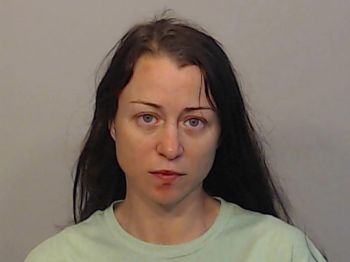 Amanda Renee Lee Mugshot