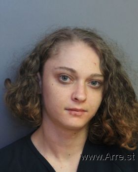 Amanda Ann Lee Mugshot