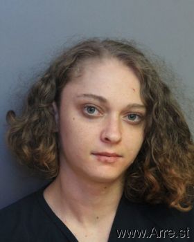 Amanda Ann Lee Mugshot