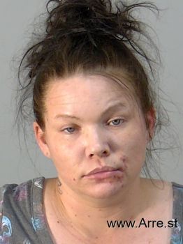 Amanda Marie Lee Mugshot