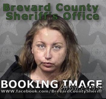 Amanda Lynn Martin Mugshot