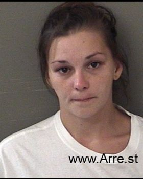 Amanda M Mcdaniel Mugshot