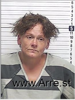 Amanda Gayle Miller Mugshot