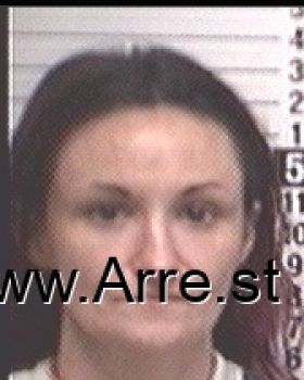 Amanda Anne Morgan Mugshot