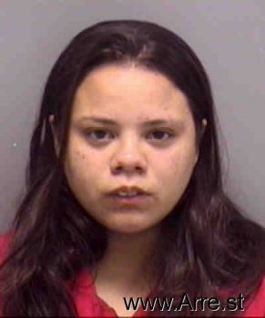 Amanda  Ortiz Mugshot