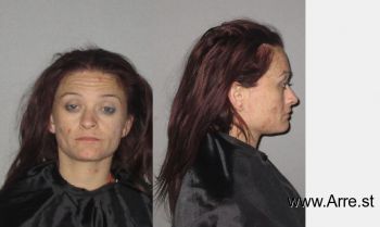 Amanda Elizabeth Parker Mugshot