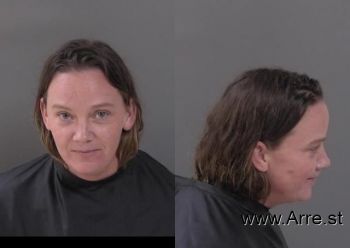 Amanda Lynn Sanders Mugshot