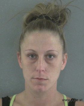 Amanda Lee Sears Mugshot