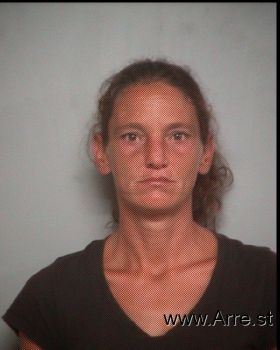 Amanda Sawyer Suggs Mugshot