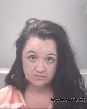 Amanda Marina Turner Mugshot