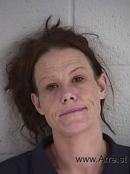 Amanda Lee Wade Mugshot