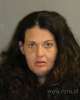 Amanda  Wade Mugshot