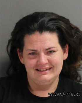 Amanda  Wade Mugshot