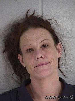 Amanda Lee Wade Mugshot